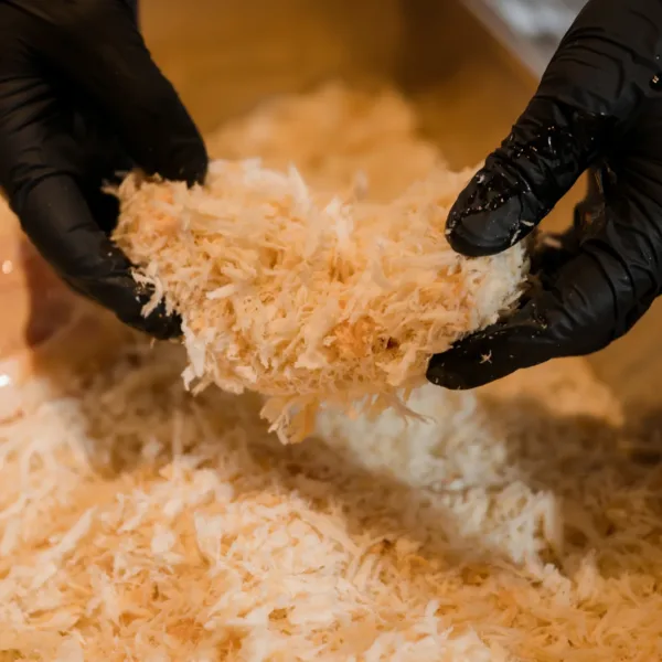 Tonkatsu Ineya